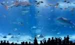 Najveće oceaarium na svijetu